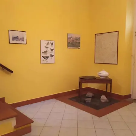Διαμέρισμα 2 Bedrooms Apartement With Furnished Terrace At 6 Km Away From The Slopes *